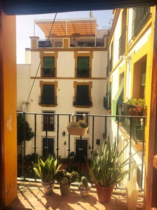 Plaza Cristo De Burgos Apartment Seville Luaran gambar